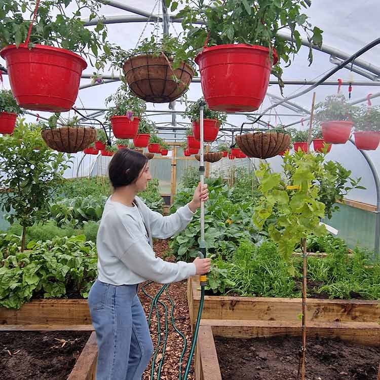 catch charity urban garden, growing zone